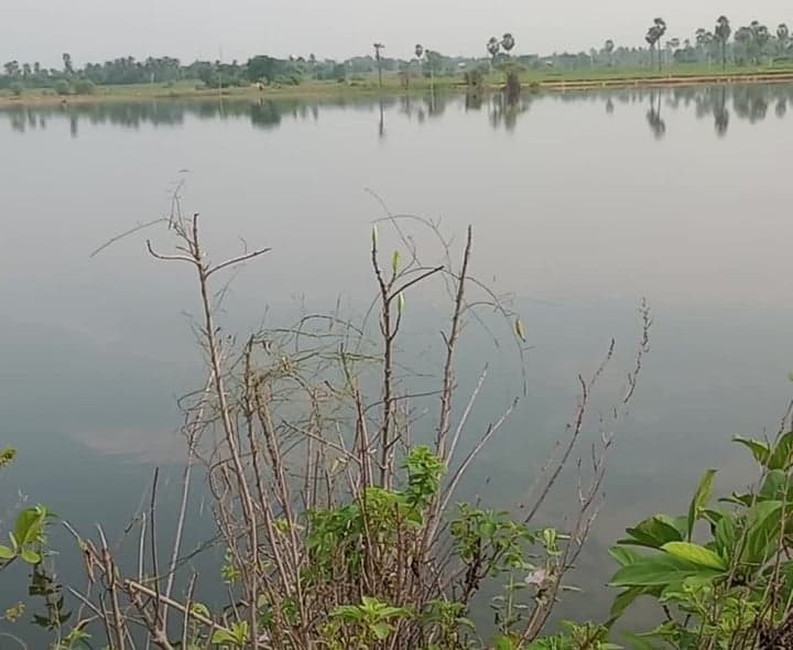 ప్రమాదకరంగా సీతాఫల చెరువు కట్ట - Udayam