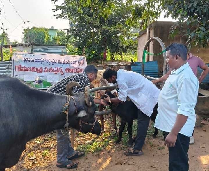 మరిగూడెంలో ఉచిత పశు వైద్య శిబిరం - Udayam