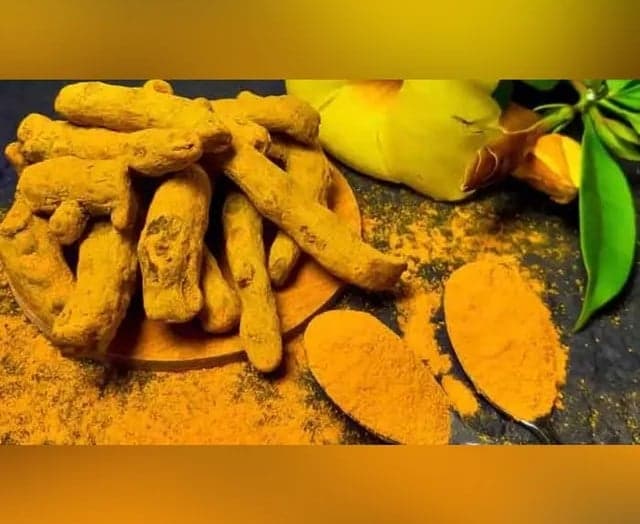 కేసముద్రం మార్కెట్లో పసుపు రికార్డు ధర - Udayam