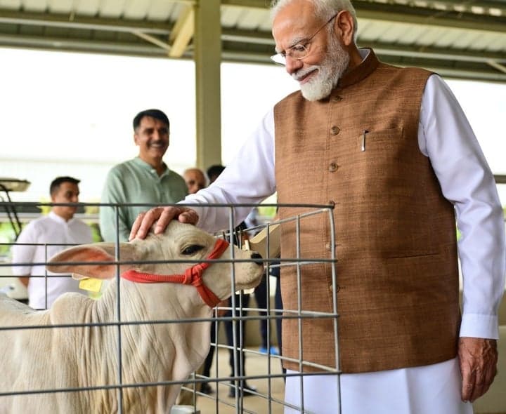 బనస్కాంతలో పశు పరిశోధనా కేంద్రంపై మోదీ ప్రశంసలు - gallery image 4