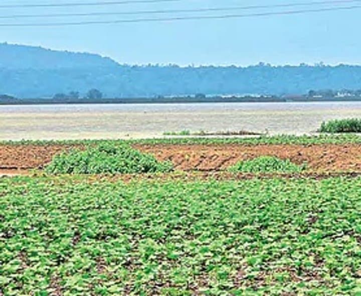 స్వర్ణ ప్రాజెక్టు భూములు కబ్జాలో - Udayam Digital