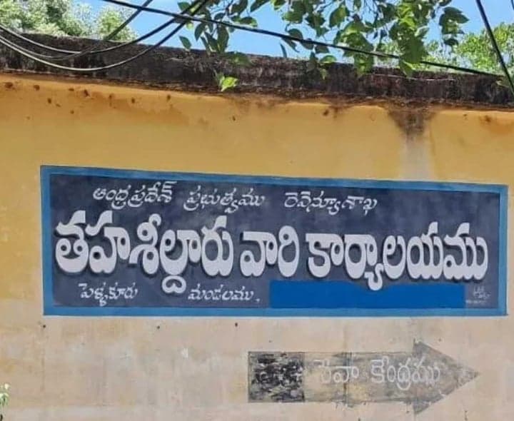 పెళ్లకూరు జడ్పీటీసీపై టీడీపీ, వైసీపీ గురి - Udayam