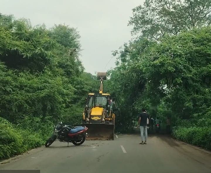 హైవేపై కూలిన చెట్లు.. రాకపోకలు పునరుద్ధరణ - Udayam