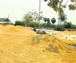 కొనుగోలు కేంద్రాలు లేక మిల్లులకు ధాన్యం తరలింపు - Udayam