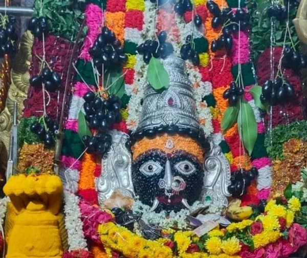 నేరేడు, ఈత పండ్లతో అమ్మవారి రూపం - Udayam Digital