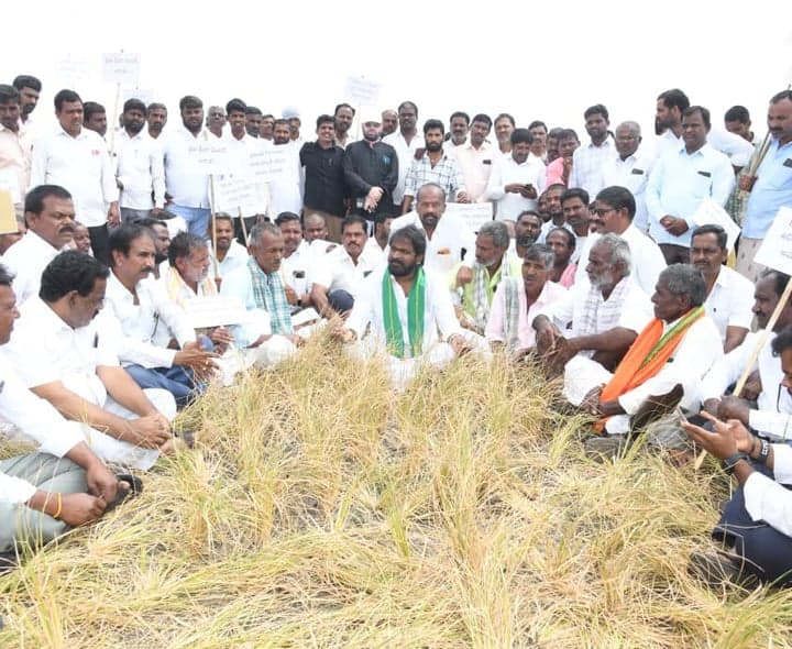 ఎండిన పంటలకు ఎకరానికి రూ.25 వేల పరిహారం కోరిన శ్రీనివాస్ గౌడ్ - gallery image 2