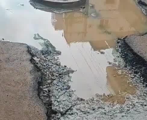 వెటర్నరీ కాలనీలో రోడ్ల దుస్థితి - Udayam