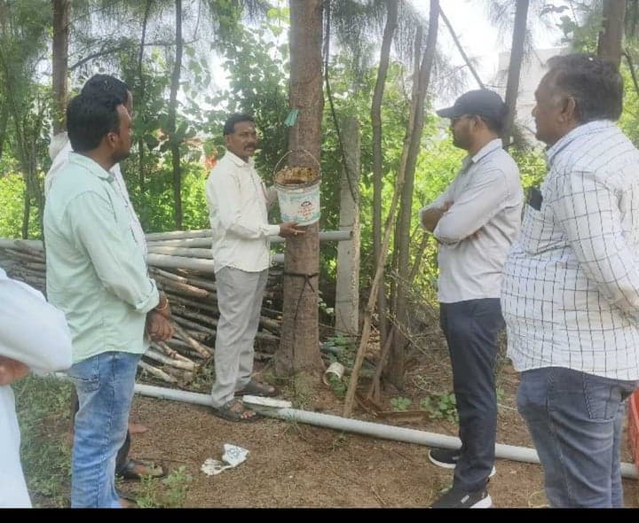 సేంద్రియ కూరగాయల సాగును పరిశీలించిన అధికారులు - Udayam