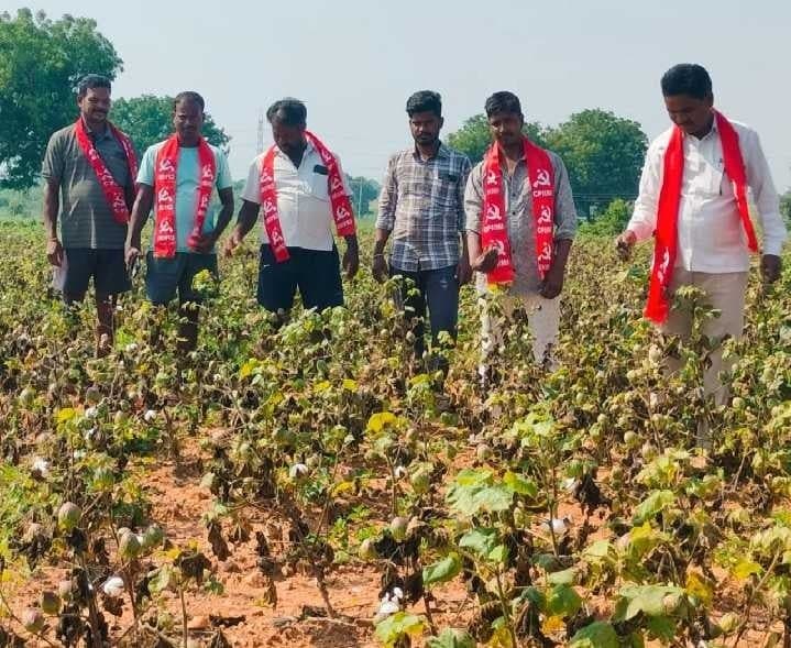 వంగూరును కరువు మండలంగా ప్రకటించాలని సీపీఎం డిమాండ్ - Udayam