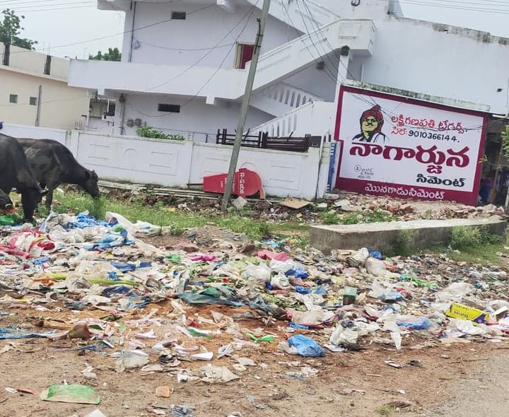 కాపువాడ రహదారిపై చెత్త కుప్పలు - Udayam