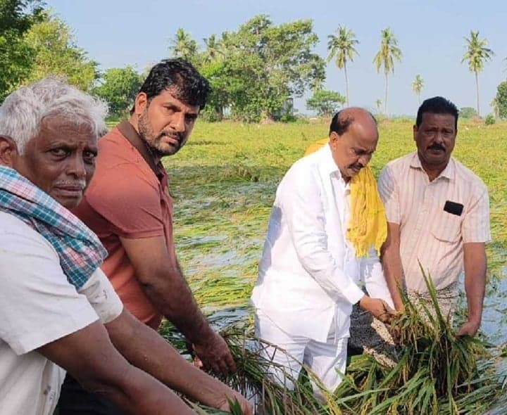 పంట నష్టంపై రైతులకు ఆప్కాబ్ ఛైర్మన్ భరోసా - Udayam