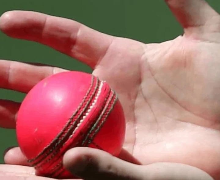 డే టెస్టుల్లో పింక్ బాల్కు అనుమతి - Udayam