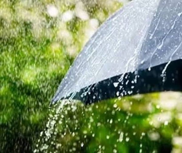 తెలంగాణలో వర్ష సూచన: ఆ జిల్లాలకు అలర్ట్