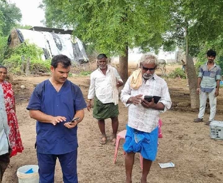 ఎండు మేతతో పాలలో వెన్న శాతం పెరుగుదల - Udayam
