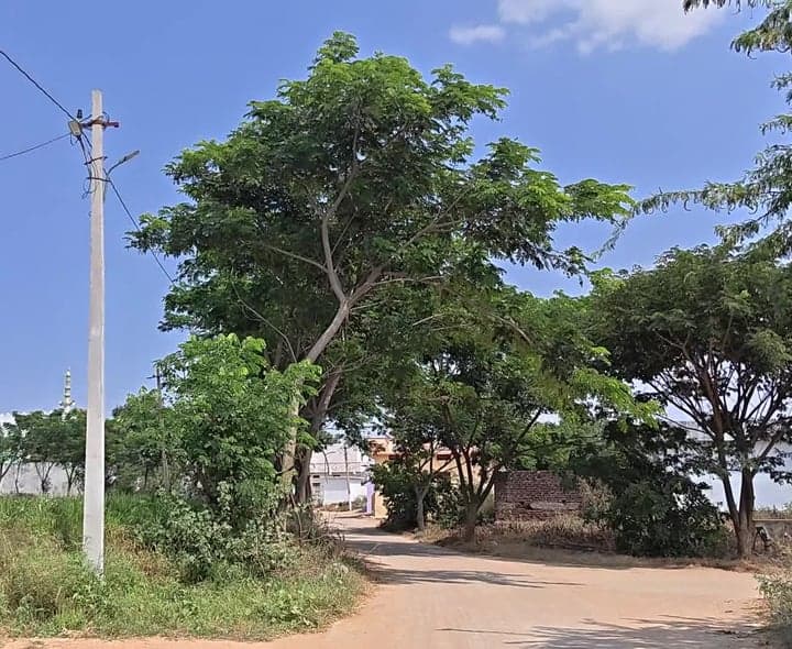 పగటిపూట వెలుగుతున్న వీధి దీపాలు - Udayam