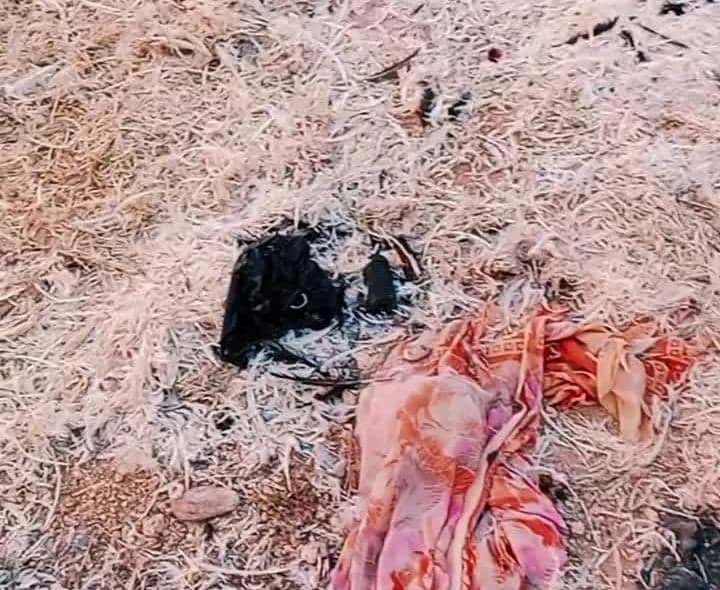రేపాలలో చికెన్ వ్యర్థాలతో దుర్వాసన - Udayam