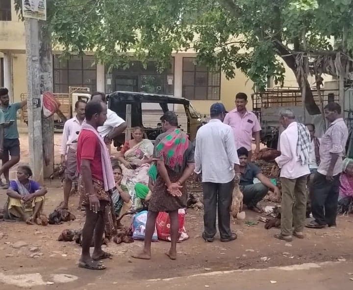 ఎలమంచిలి సంతలో నాటుకోడి ధరలు - Udayam