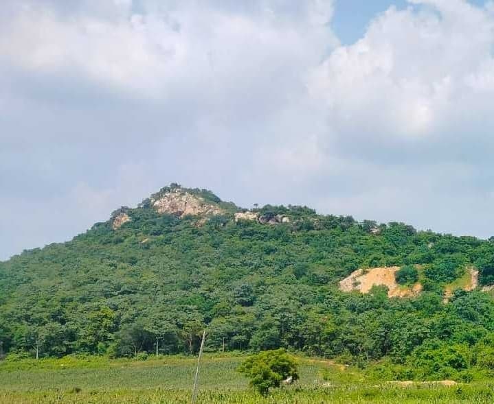 బేరైట్స్ అక్రమ తవ్వకాలపై ఆరోపణలు - Udayam