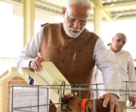 పశు సంక్షేమంతోనే పాడి పరిశ్రమ అభివృద్ధి: మోదీ - Udayam
