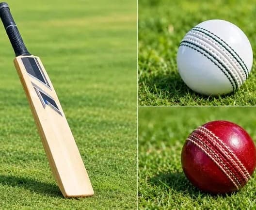 క్రికెట్లో మిక్స్డ్ జెండర్ టోర్నీ - Udayam