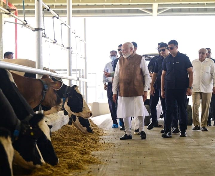 పశు సంక్షేమంతోనే పాడి పరిశ్రమ అభివృద్ధి: మోదీ - gallery image 4