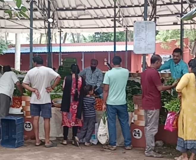 అమలాపురంలో ఉల్లి ధర తగ్గుదల - Udayam