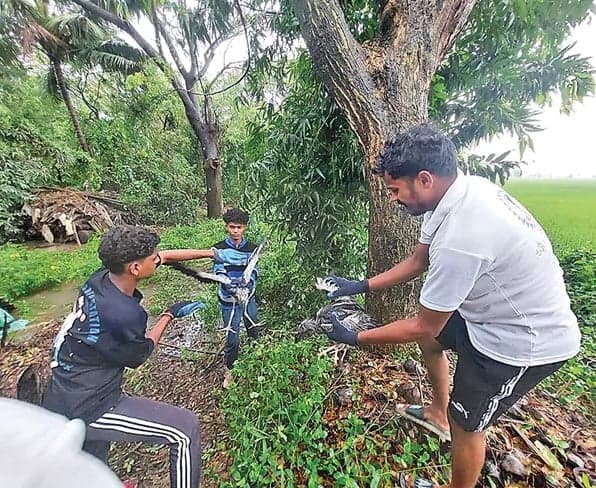 వలస పక్షులకు యువకుల అండ - Udayam