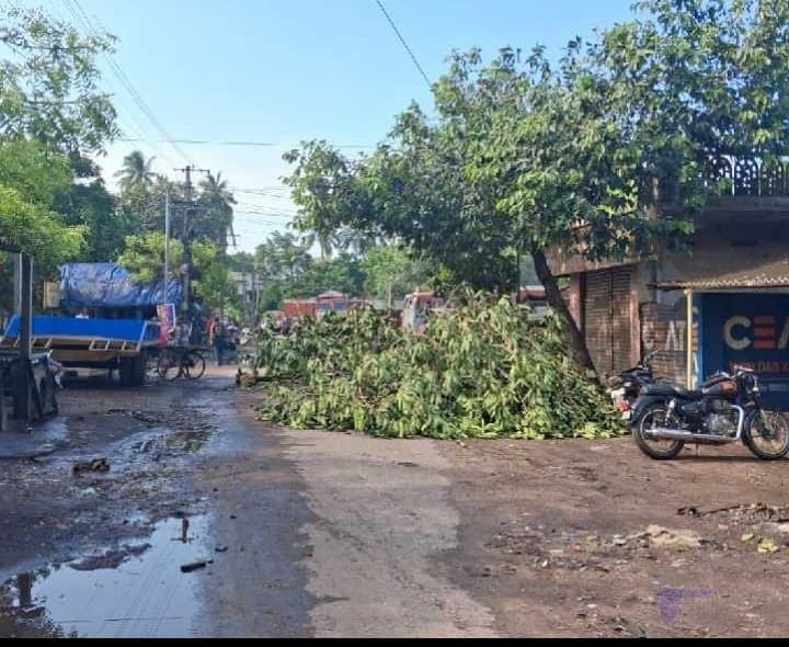 గుడివాడలో రోడ్డుపై విరిగిపడిన చెట్టు - Udayam