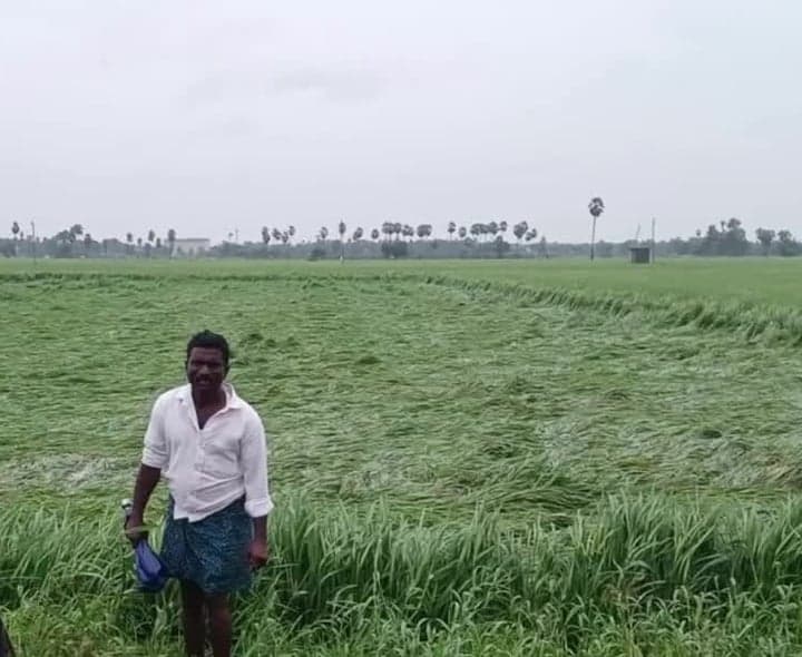 అర్నబ్ తుఫాన్తో దుగ్గిరాలలో పంట నష్టం - Udayam