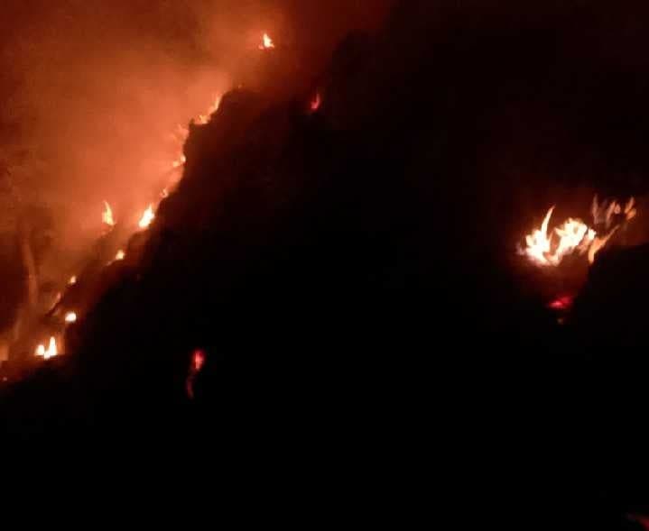 హంగర్గ ఫారంలో గడ్డి వాముకు నిప్పు - Udayam