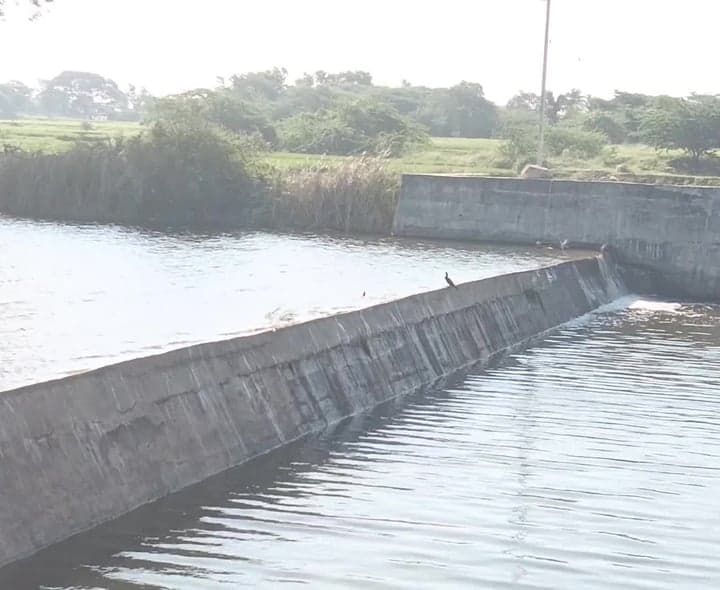 జగత్పల్లి చెక్డ్యామ్లో జలకళ - Udayam