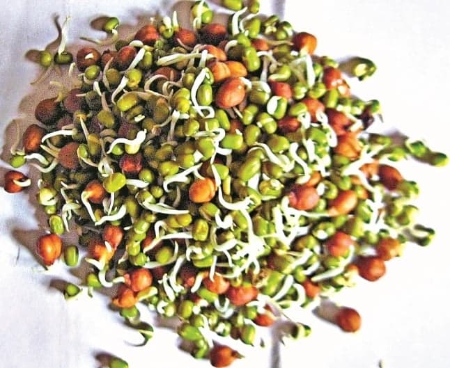 బతుకమ్మ ప్రసాదాల విశిష్టత - Udayam