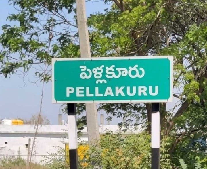 పెళ్లకూరులో బాలచంద్ర నామినేషన్ ఆమోదం - Udayam