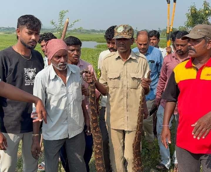 రంగ సముద్రం చెరువులో 7 అడుగుల కొండచిలువ - Udayam