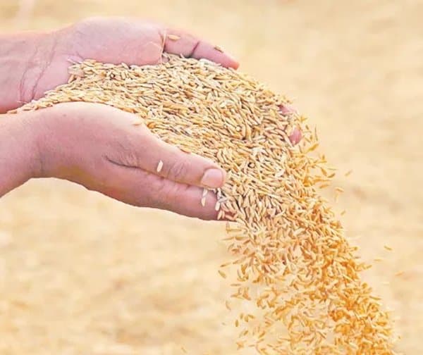 ధాన్యం కొనుగోలు కేంద్రంలో అక్రమాలు - Udayam Digital