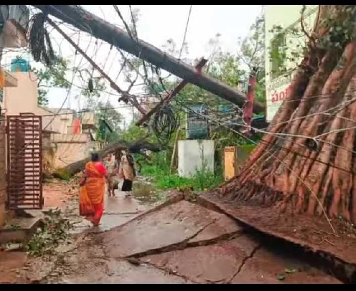 ట్రాన్స్ఫార్మర్పై కూలిన భారీ వృక్షాలు - Udayam
