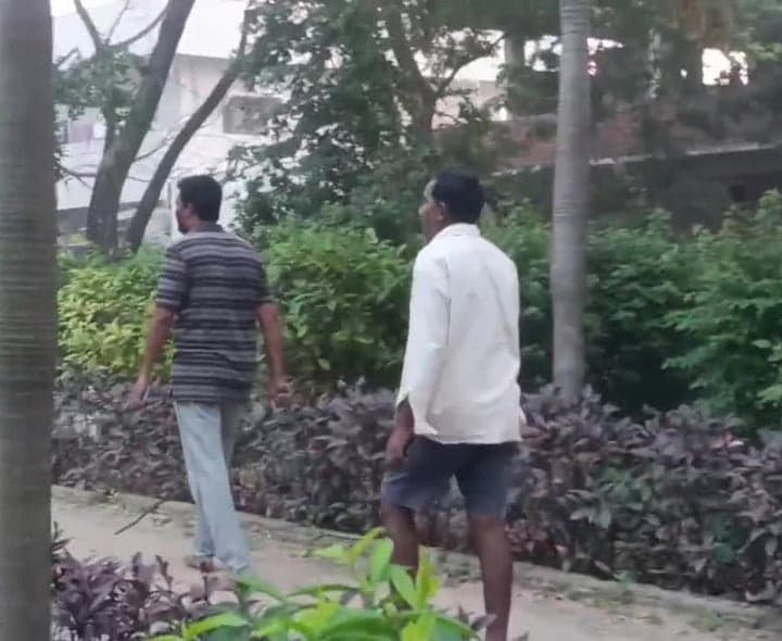 నస్పూర్ షిర్కేలో కోతుల బెడద - Udayam