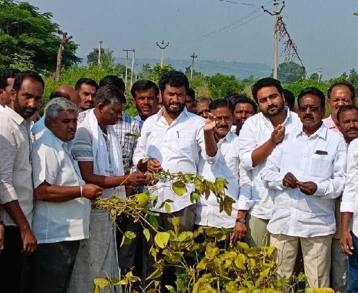 సోయా పంట నష్టానికి పరిహారం ఇవ్వాలి - Udayam