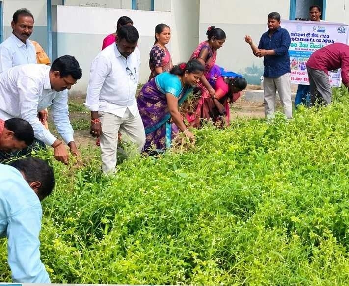 గుగ్గిళ్ల పాఠశాల పరిసరాల్లో స్వచ్ఛత కార్యక్రమం - Udayam