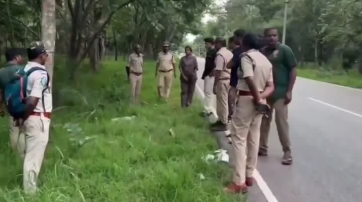 రోడ్డు ప్రమాదంలో చిరుత పులి మృతి - Udayam