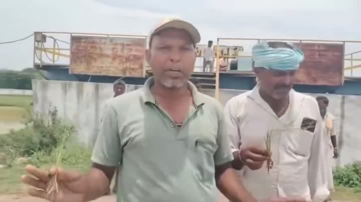సాగునీటి విడుదలకు రైతుల ధర్నా - Udayam