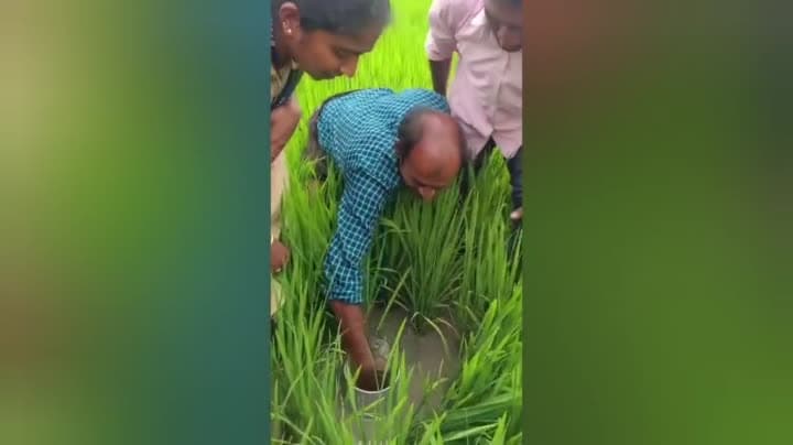 తడి పొడి పద్ధతిలో వరిసాగుపై అవగాహన కార్యక్రమం : విద్యార్థులు