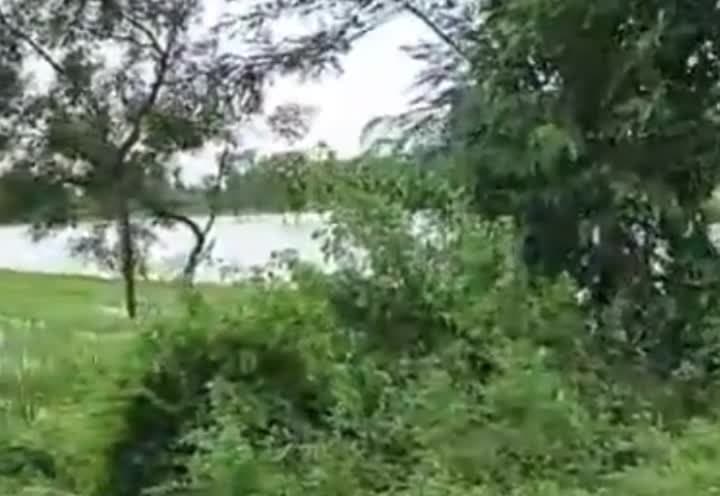 వరదనీటిలో మునిగిన వరిపంట