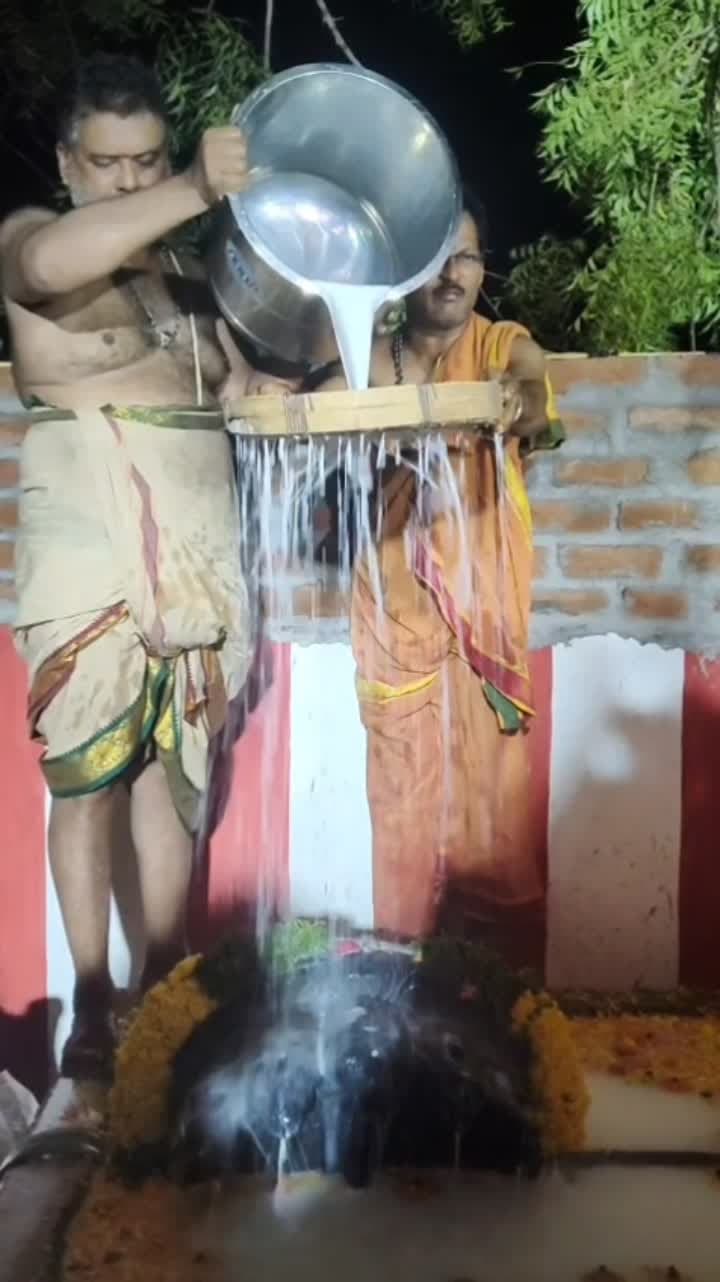 నాగేంద్ర స్వామికి విశేష పూజలు - Udayam