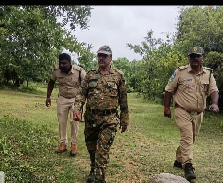 వన్యప్రాణుల రక్షణకు అటవీశాఖ నిఘా - Udayam