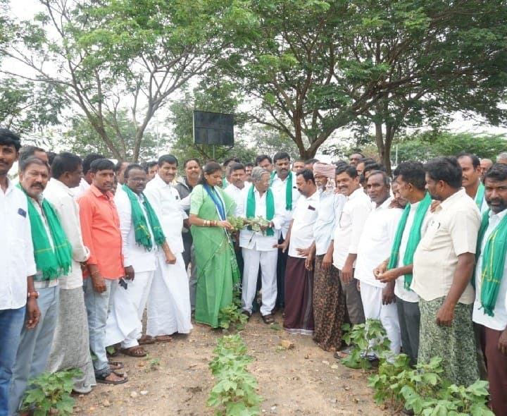 నష్టపోయిన రైతులను ప్రభుత్వం ఆదుకోవాలి: నాగిరెడ్డి - Udayam
