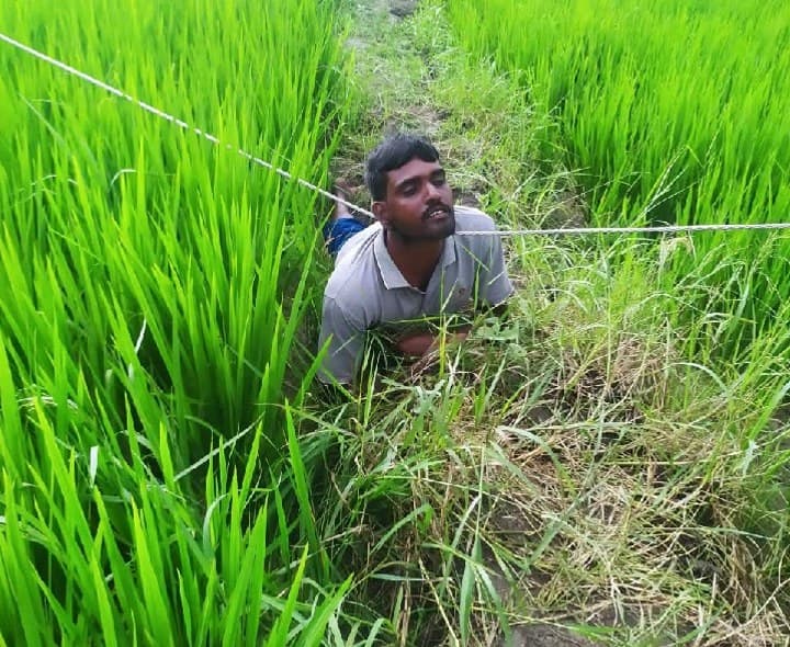విద్యుత్ షాక్ తో కూలి మృతి - Udayam