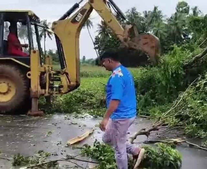 రోడ్డుపై పడిన చెట్టు .. రాకపోకలు పునరుద్ధరణ - Udayam