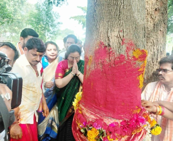 సిరిమాను వృక్షానికి పూజలు నిర్వహించిన ఎమ్మెల్యే - Udayam