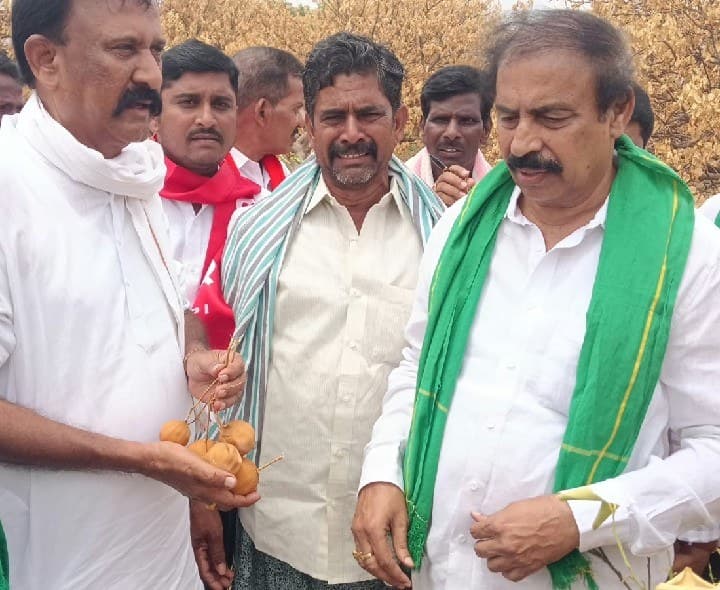 సత్యసాయి జిల్లాలో కరువు కోరలు కరువు జిల్లాగా ప్రకటించారు - Udayam